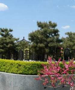 基本墓型