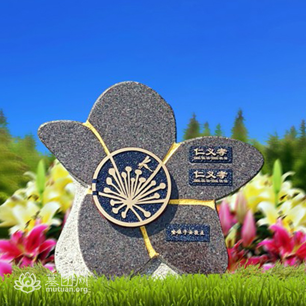 海王星节地1B区 HA1914咖
