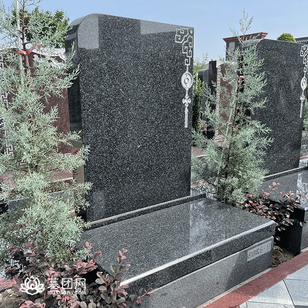 818区 墓型
