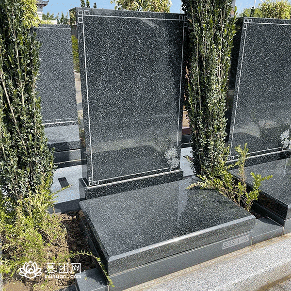 822区 墓型