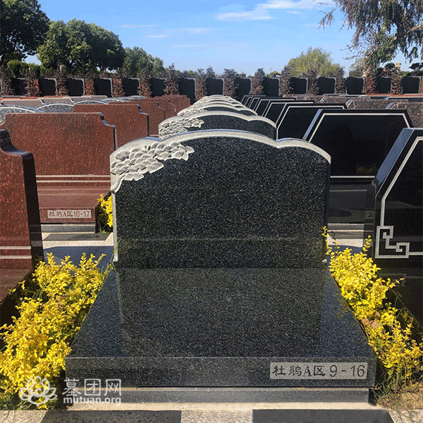 杜鹃A区 墓型