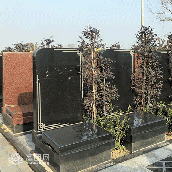 杜鹃B区 墓型