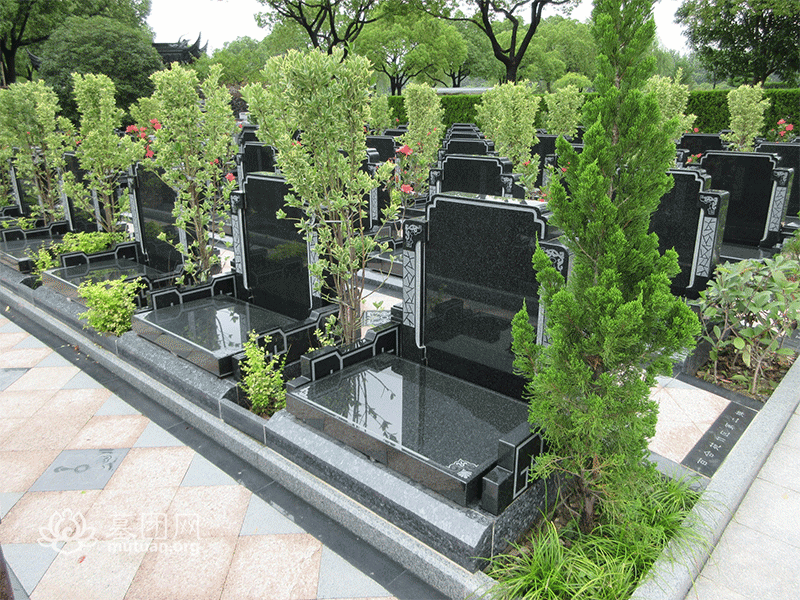 长安墓园 墓区景观